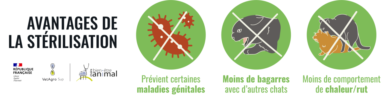 Avantages stérilisation