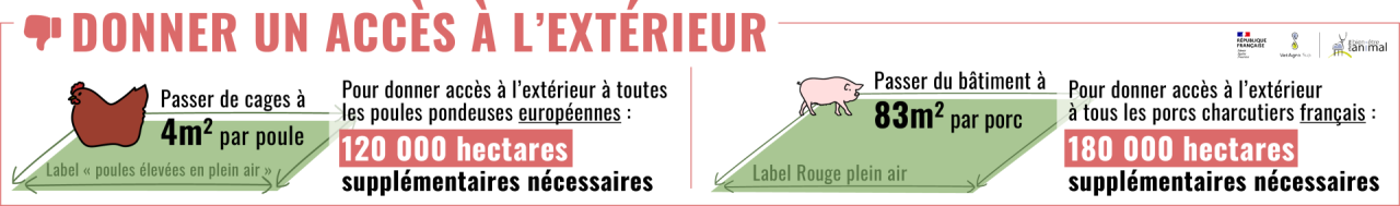 Donner un accès à l'extérieur