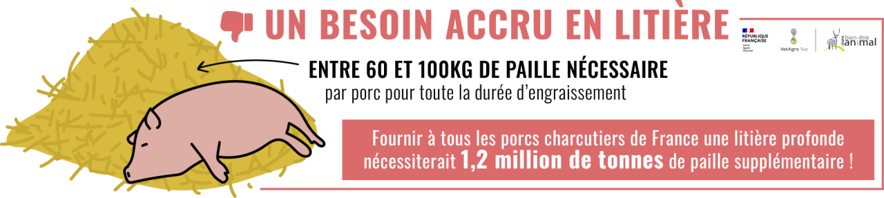 Un besoin accru en litière