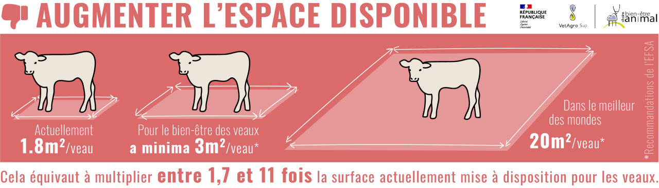 Augmenter l'espace disponible - veaux