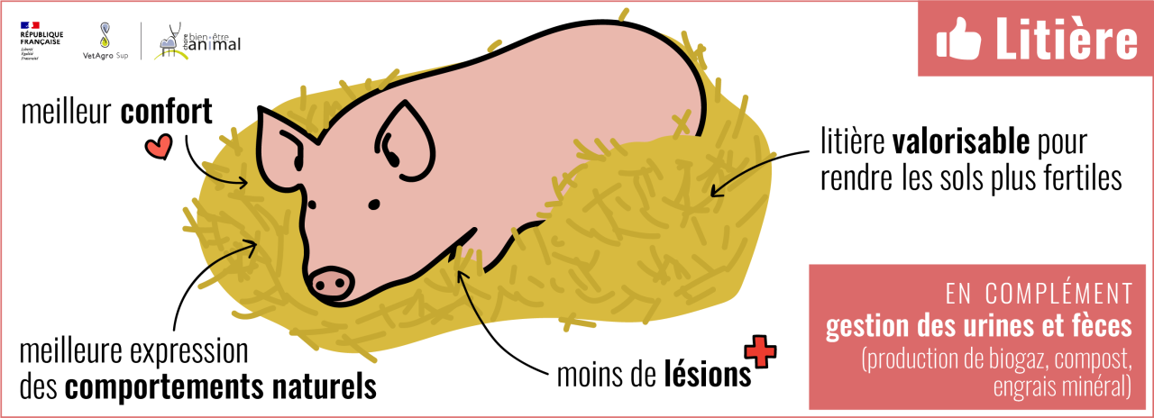 Litière et valorisation