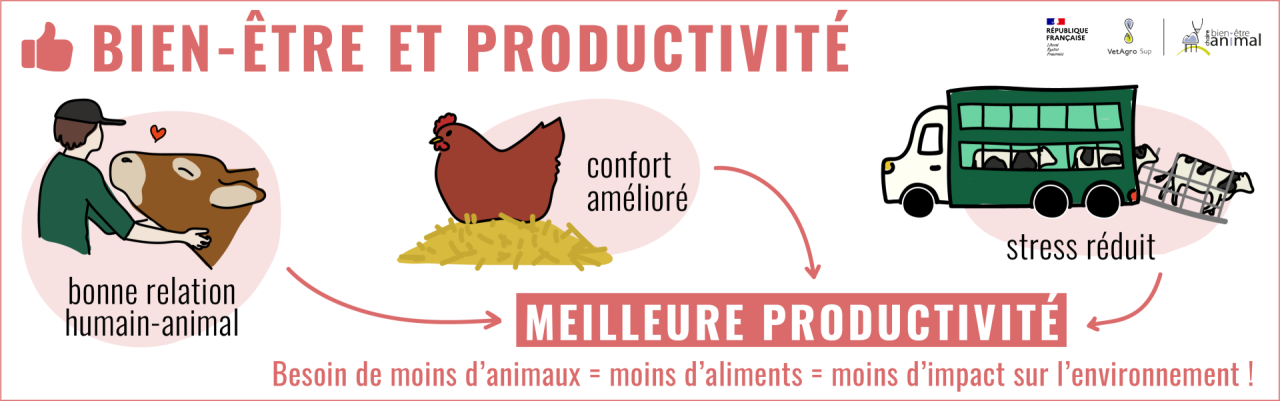 bien-être animal et productivité
