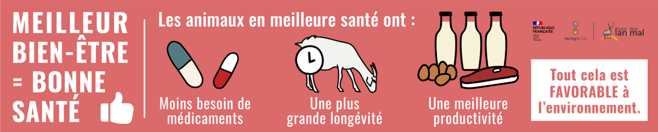 Meilleure bien-être = bonne santé