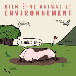Environnement et bien-être animal