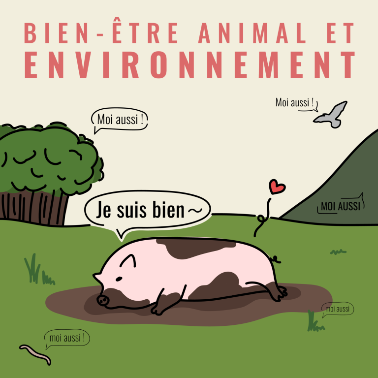 Environnement et bien-être animal