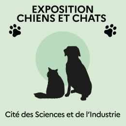 Exposition chiens et chats