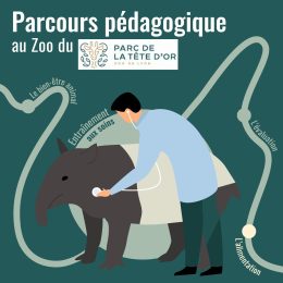 Parcours pédagogique du zoo du Parc de la Tête d'Or