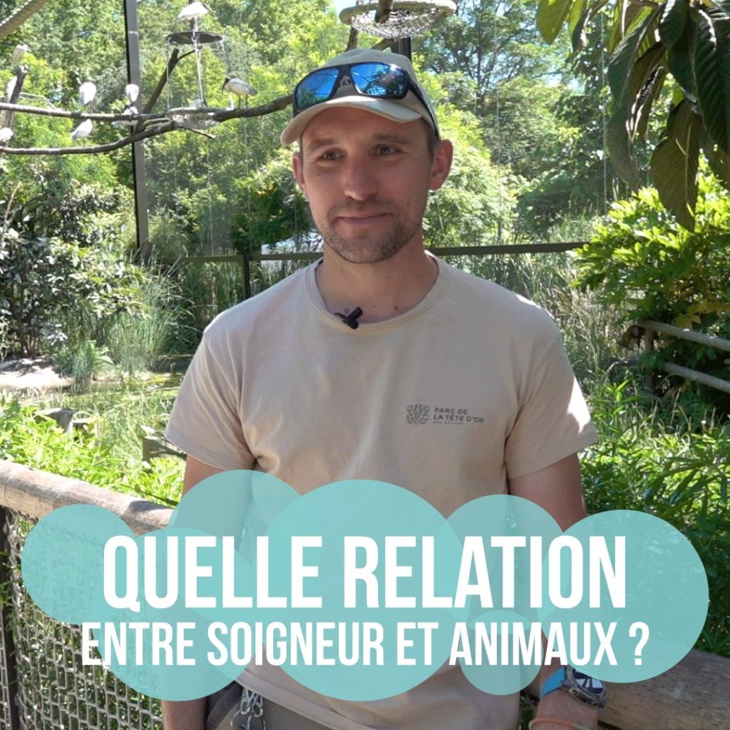 Le métier de soigneur animalier Chaire bienêtre animal — free download