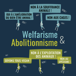Welfarisme et Abolitionnisme