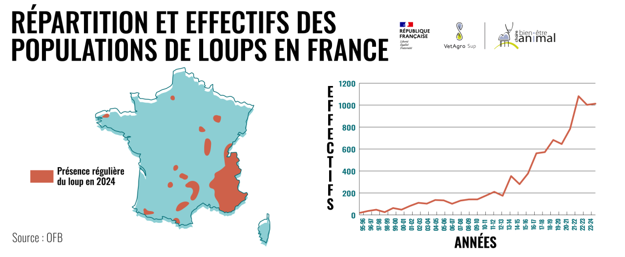 1- Répartition et effectifs des pop de loups