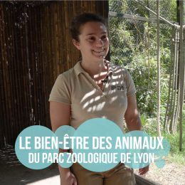 Le bien-être des animaux en parc zoologique