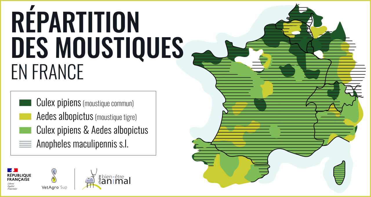 Répartition des moustiques en France hexagonale