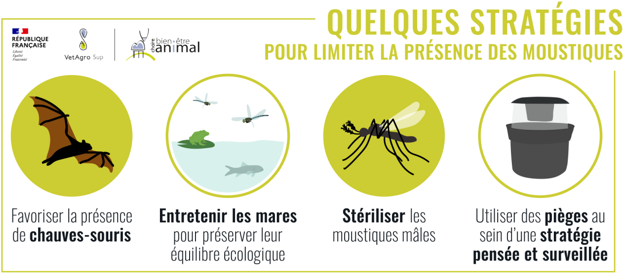 Stratégies pour limiter les populations de moustiques