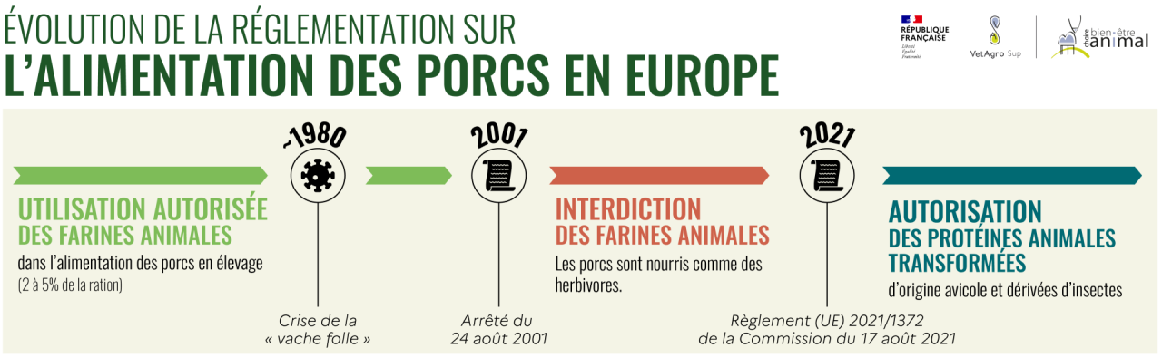 Evolution de la réglementation sur l'alimentation des porcs