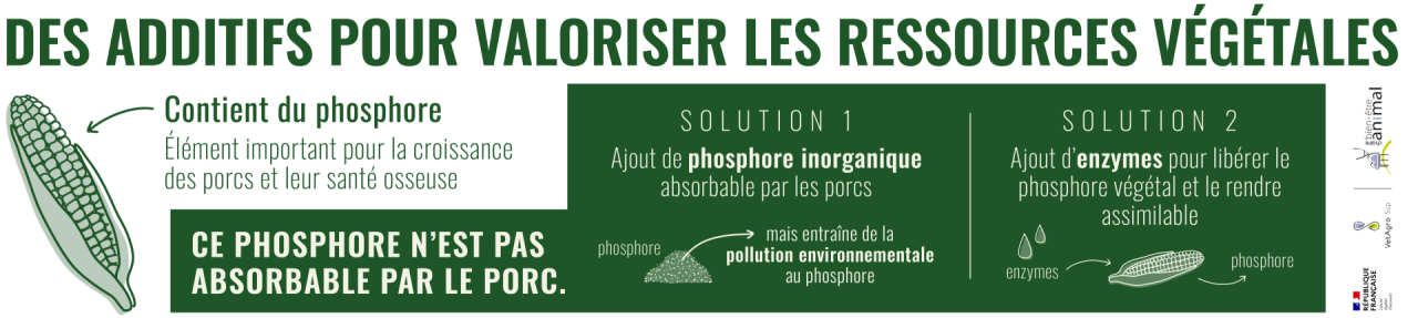 Additifs pour valoriser les ressources végétales