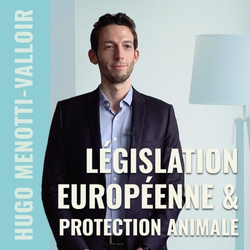 Comprendre la législation européenne sur la protection animale