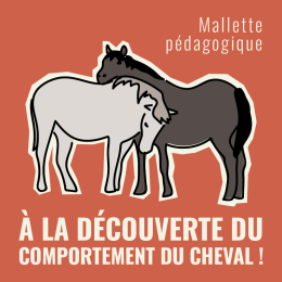 Mallette pédagogique – À la découverte du comportement du cheval !